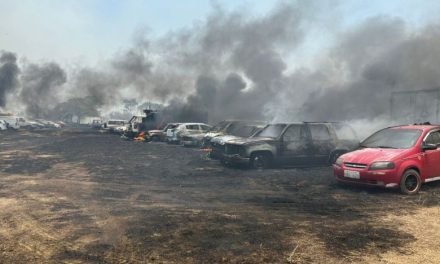 Seis carros de los patios de Inmobiliar calcinados tras incendio forestal en Parque Samanes en Guayaquil