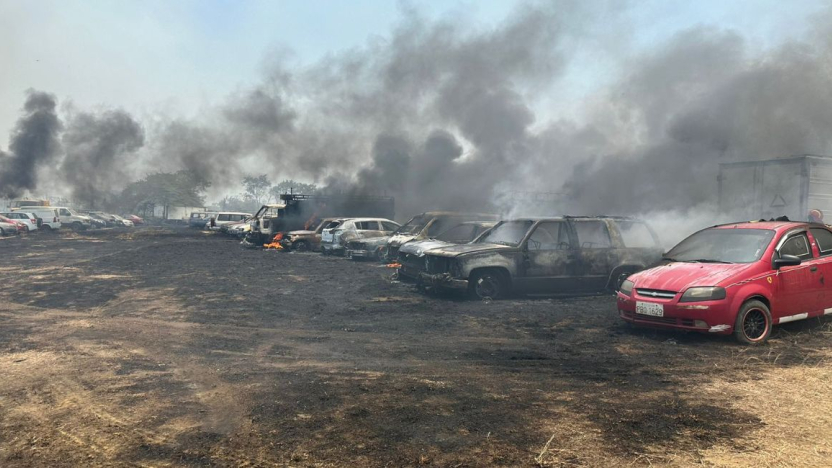 Seis carros de los patios de Inmobiliar calcinados tras incendio forestal en Parque Samanes en Guayaquil