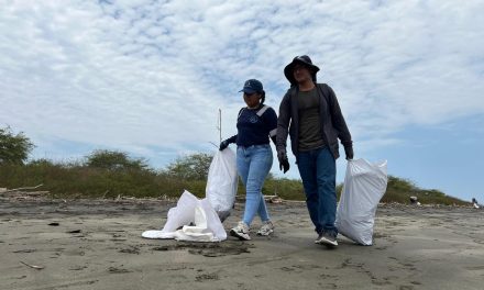 Se recolectaron más de 1.000 kg de residuos en la ribera de Bellavista, en  la isla Puná