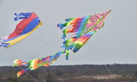 El cielo de la parroquia El Morro se llenó de alegría en el Festival de  Cometas “Colores al Viento”