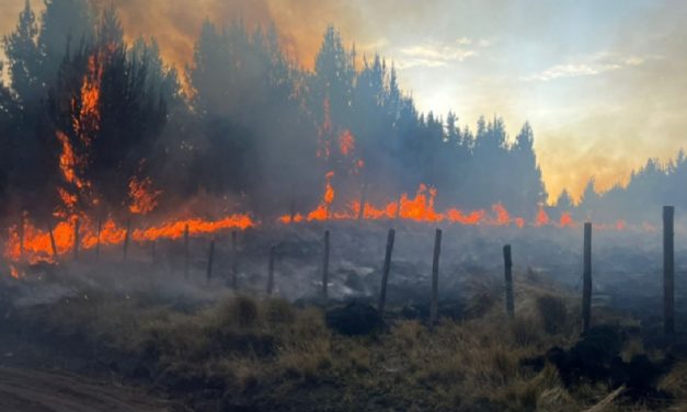 Los incendios son el mayor riesgo que enfrenta Ecuador desde 2010