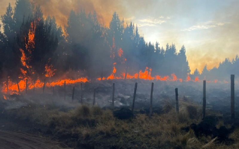 Los incendios son el mayor riesgo que enfrenta Ecuador desde 2010