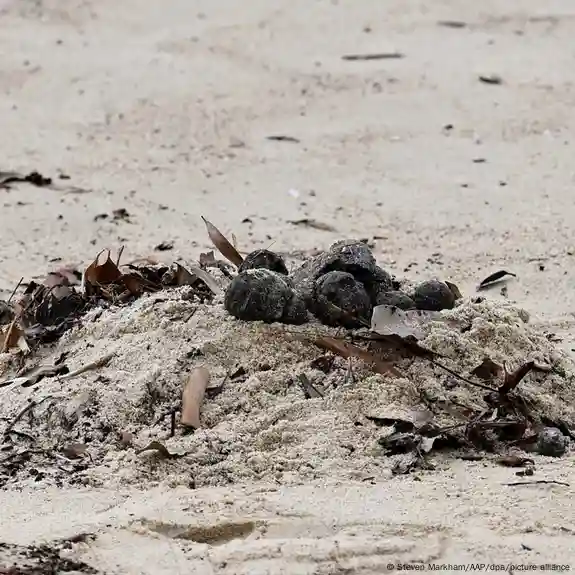 Cierran dos playas de Sídney por misteriosas bolas negras