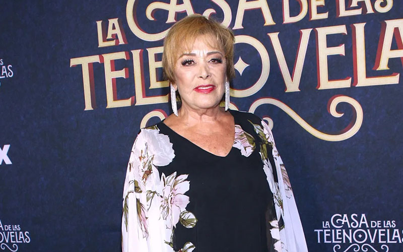 Sylvia Pasquel pide que dejen tranquila a la familia Pinal