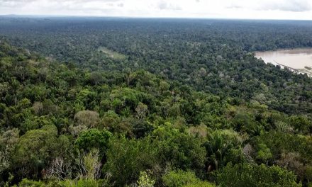 Petro ordena bombardeos contra disidencias FARC tras ataque