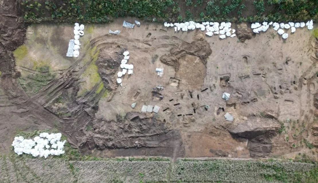 Un grupo de arqueólogos descubrió más de 50 esqueletos vikingos en un enorme cementerio en Dinamarca