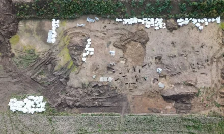 Un grupo de arqueólogos descubrió más de 50 esqueletos vikingos en un enorme cementerio en Dinamarca