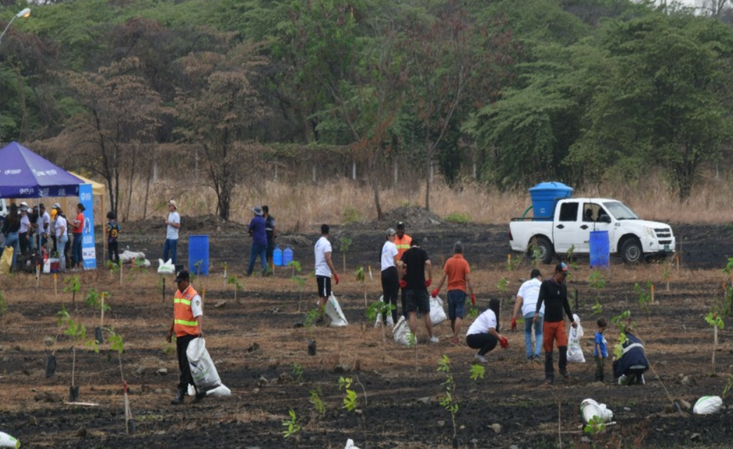 Municipio de Guayaquil inicia la reforestación de áreas afectadas por incendios en el Área Nacional de Recreación Los Samanes