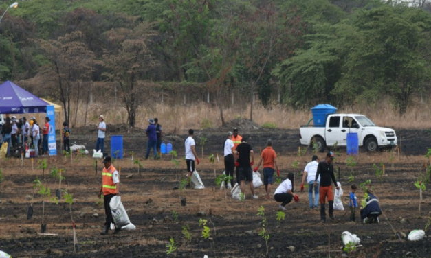 Municipio de Guayaquil inicia la reforestación de áreas afectadas por incendios en el Área Nacional de Recreación Los Samanes