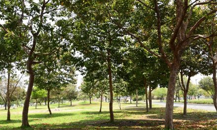 Parque Samanes cerrará sus puertas a las 18:00 debido a los apagones