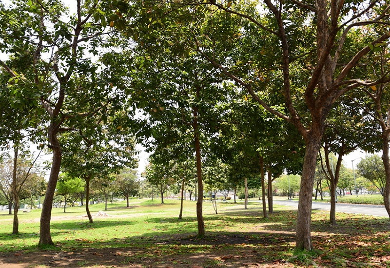 Parque Samanes cerrará sus puertas a las 18:00 debido a los apagones