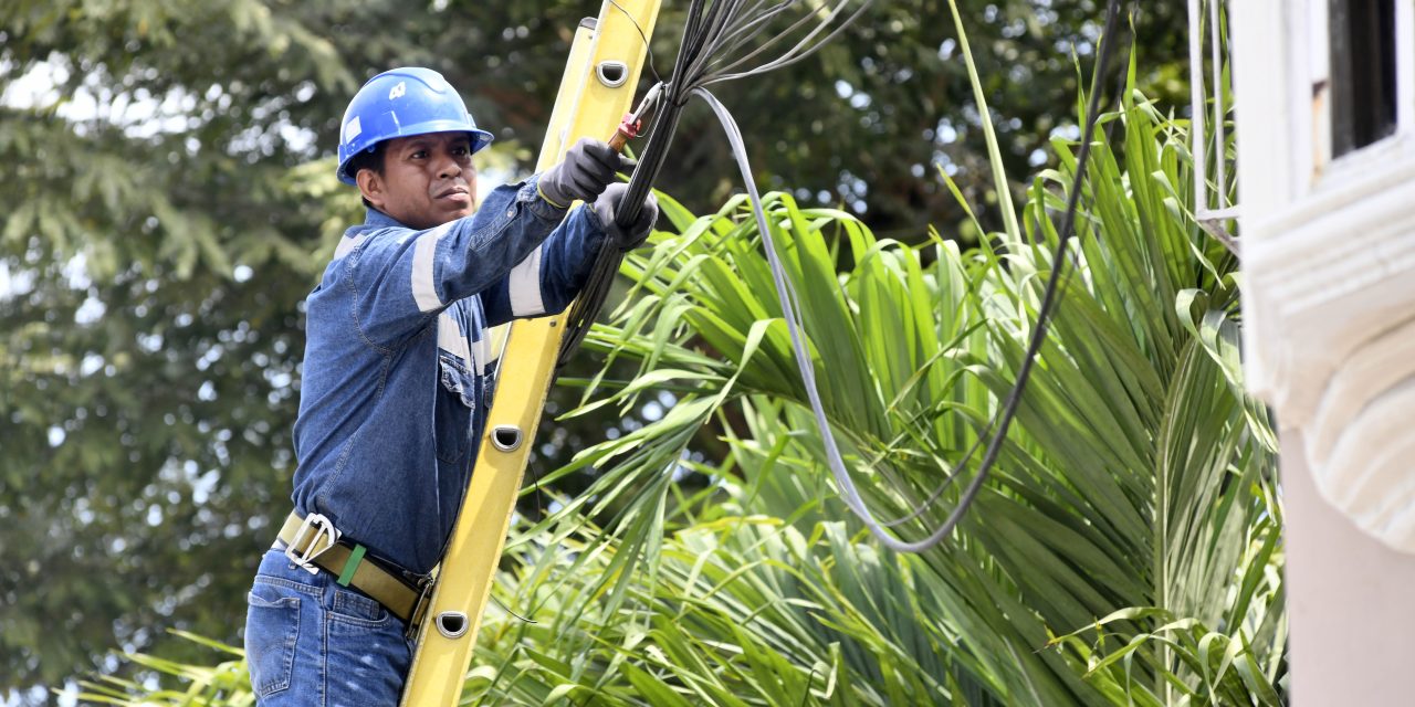 Activación en La Saiba llevó atención veterinaria a 56 animales de  compañía