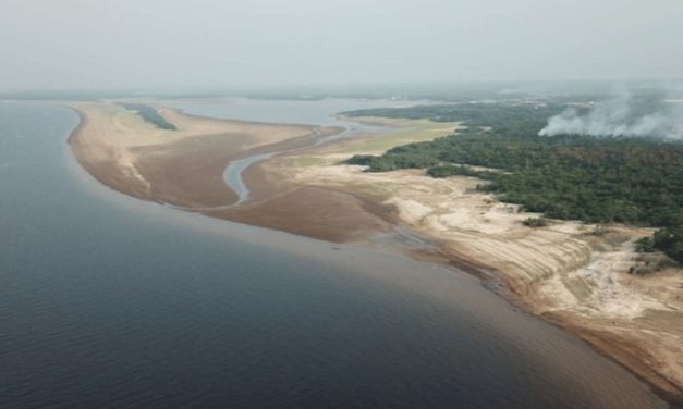 Sequía extrema y crisis ambiental en la Amazonía: comunidades desplazadas y especies en peligro