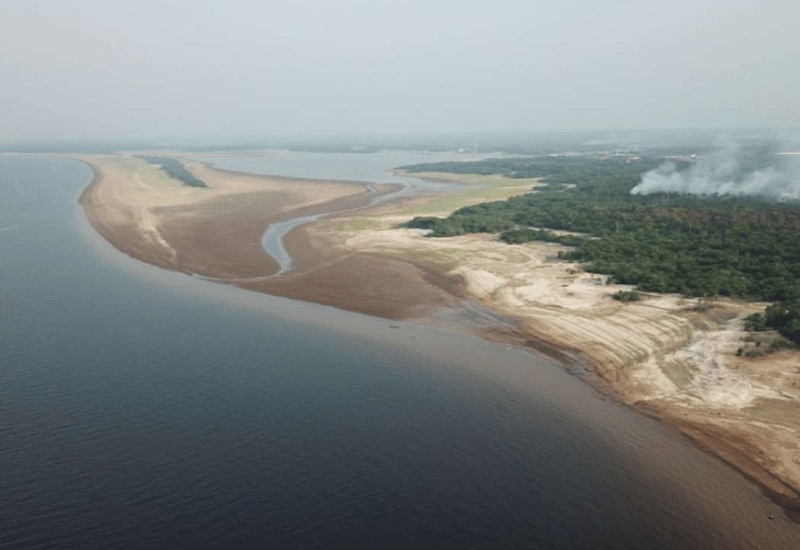 Sequía extrema y crisis ambiental en la Amazonía: comunidades desplazadas y especies en peligro