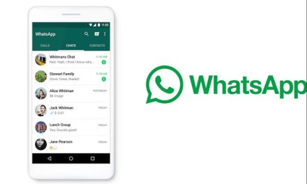 WhatsApp estrena la mejor función para organizar stickers y no perder tiempo