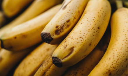 Qué le ocurre al cuerpo cuando se come banana todos los días