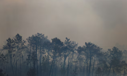 Conversaciones sobre el clima COP29: ¿Qué nuevos impuestos podrían ayudar a recaudar dinero para luchar contra el cambio climático?