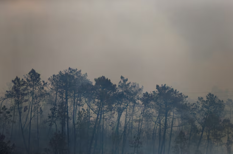 Conversaciones sobre el clima COP29: ¿Qué nuevos impuestos podrían ayudar a recaudar dinero para luchar contra el cambio climático?