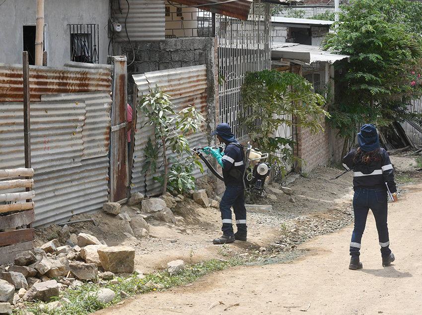 Jornada de fumigación benefició a 1.260 moradores de El Fortín