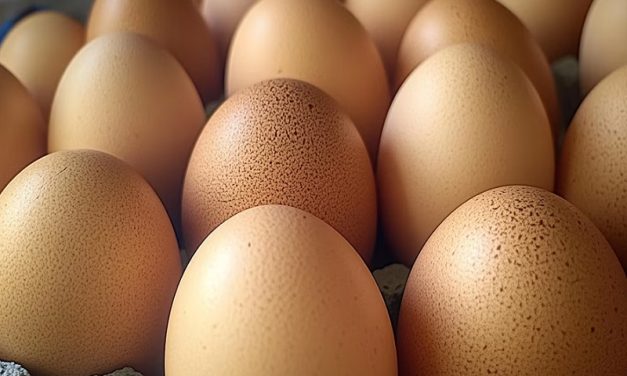 Cuántos tipos de huevos existen y qué beneficios tiene cada uno para la salud