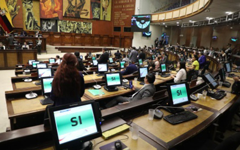 Asamblea condena incendios forestales provocados y hará seguimiento a acciones judiciales presentadas