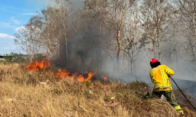 Emergencias forestales en Guayaquil se incrementan en 46%