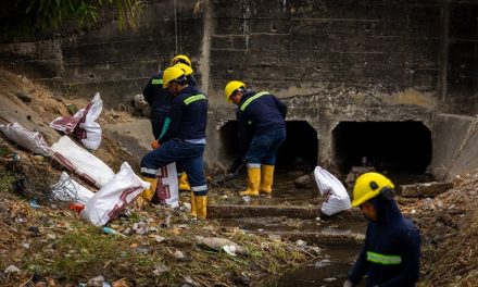 39 m3 de maleza se recogieron en el Canal de la Martha de Roldós