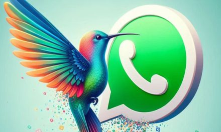 Cómo activar en WhatsApp el modo colibrí