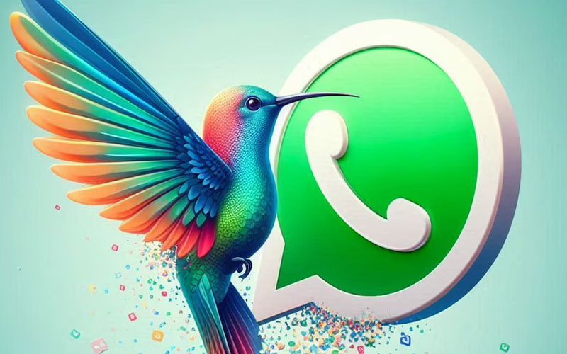 Cómo activar en WhatsApp el modo colibrí