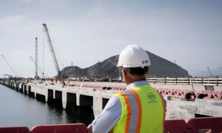 Cómo el megapuerto de Chancay que China estrena en Perú puede impactar en la economía de otros países de América Latina