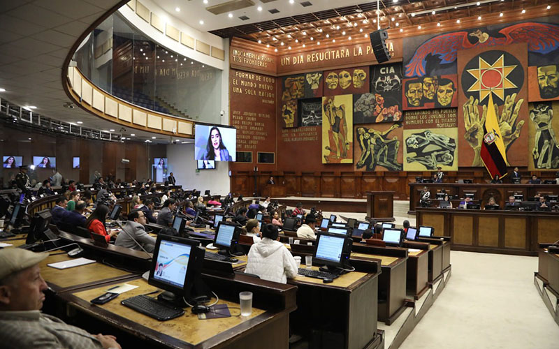 La Asamblea Nacional condena el sumario administrativo contra la vicepresidenta Abad y las acciones de la ministra de Trabajo