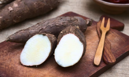 Qué es la yuca, cuáles son sus beneficios para la salud y qué enfermedades ayuda a prevenir