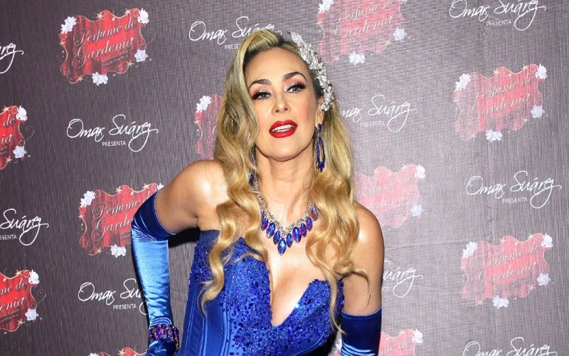 Aracely Arámbula dice lo que debe tener el hombre de sus sueños