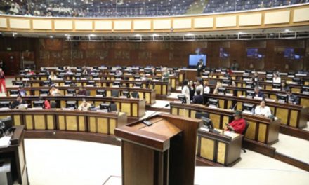 Asamblea no da paso a proyecto que regula la producción del banano y otras musáceas por ser lesivo para el sector