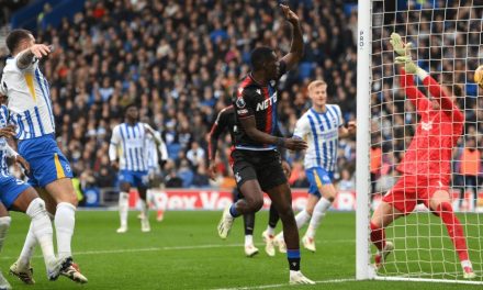 Las gaviotas caen de local (1-3) ante el Crystal Palace en la Premier League