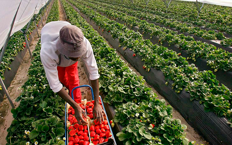 Los Gobiernos central y vasco ultiman el traspaso de los permisos de trabajo a extranjeros