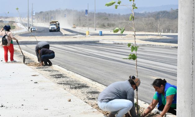 520 árboles sembrados en la nueva vía de ingreso a Chongón