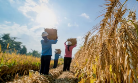 El calor del calentamiento global está matando a los jóvenes del mundo