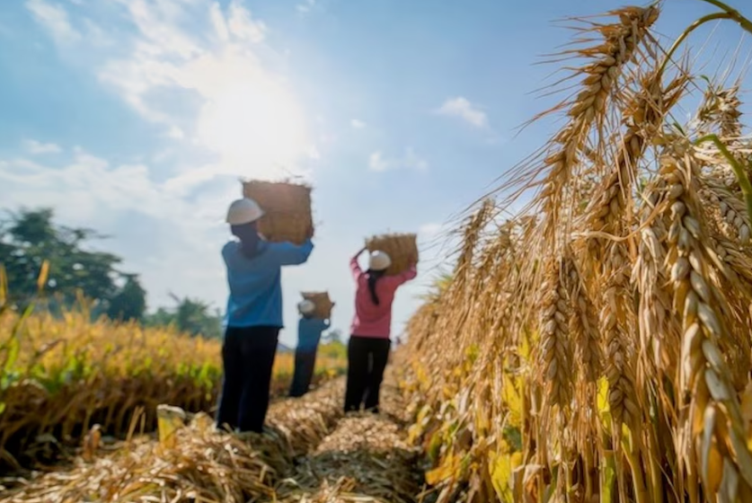 El calor del calentamiento global está matando a los jóvenes del mundo