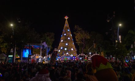 Más de 5.000 personas acompañaron al  Alcalde Aquiles Alvarez en el encendido  del árbol de Navidad del Hemiciclo de  La Rotonda