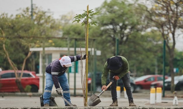 En Parque Samanes se realizó jornada de reforestación en homenaje a las vidas salvadas por la donación de órganos