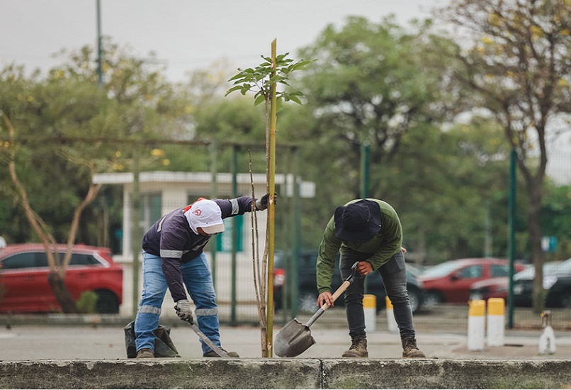 En Parque Samanes se realizó jornada de reforestación en homenaje a las vidas salvadas por la donación de órganos