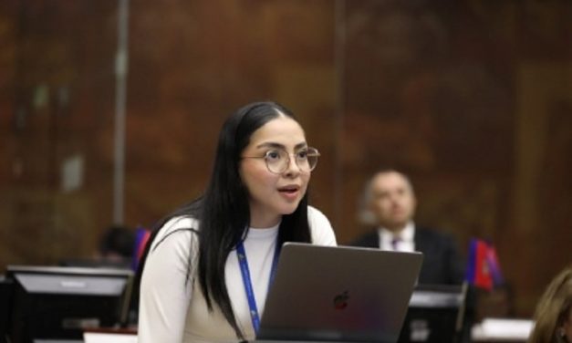 El Pleno designó al delegado de la Asamblea Nacional que completará la terna para el proceso de designación de los vocales del Consejo de la Judicatura