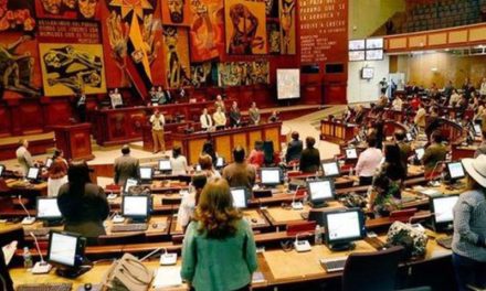 El Pleno sesionará en cinco jornadas; prevé retomar el juicio político a la exministra Andrea Arrobo