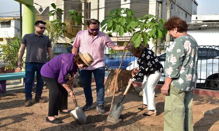 Jornada de reforestación se realizará en Av. Paseo del Parque