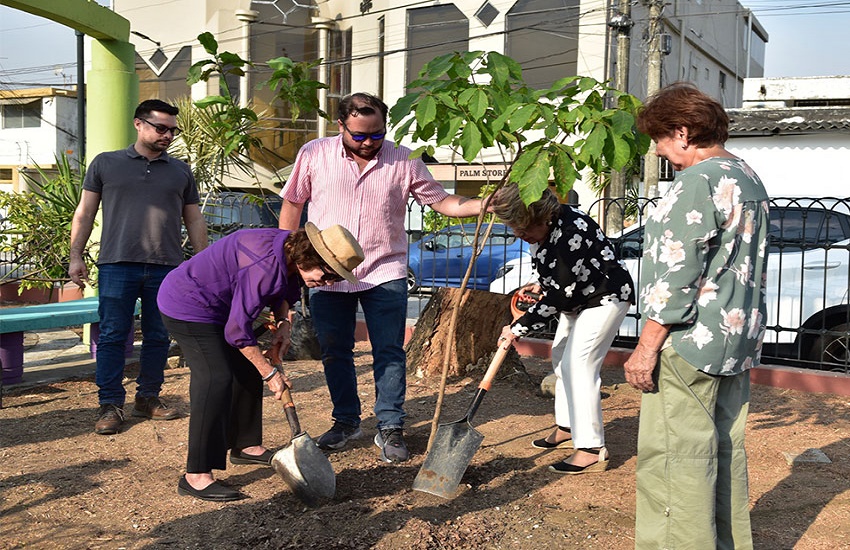 Jornada de reforestación se realizará en Av. Paseo del Parque