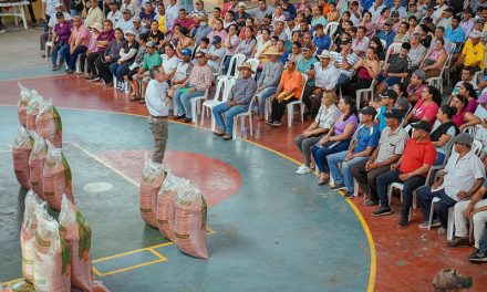 Primera entrega de semillas certificadas de arroz beneficia a 880 pequeños agricultores en Santa Lucía