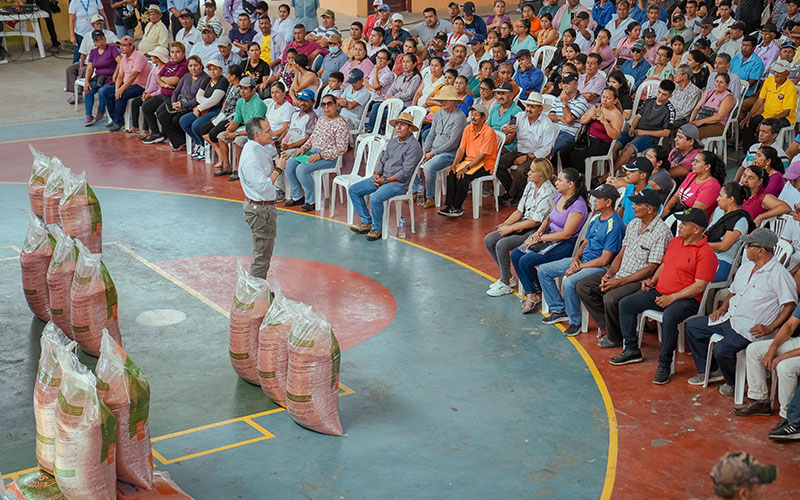 Primera entrega de semillas certificadas de arroz beneficia a 880 pequeños agricultores en Santa Lucía