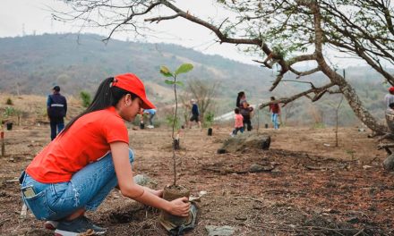 Municipio alista su tercera edición del programa Guayaquil, Ciudad que Siembra