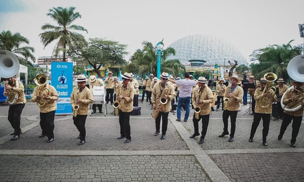 Banda Municipal brindó recital ante 500 personas en Parque Forestal